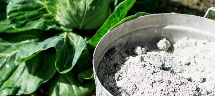 are charcoal ashes good for plants