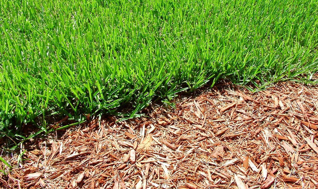 How To Get Mulch Out Of Grass
