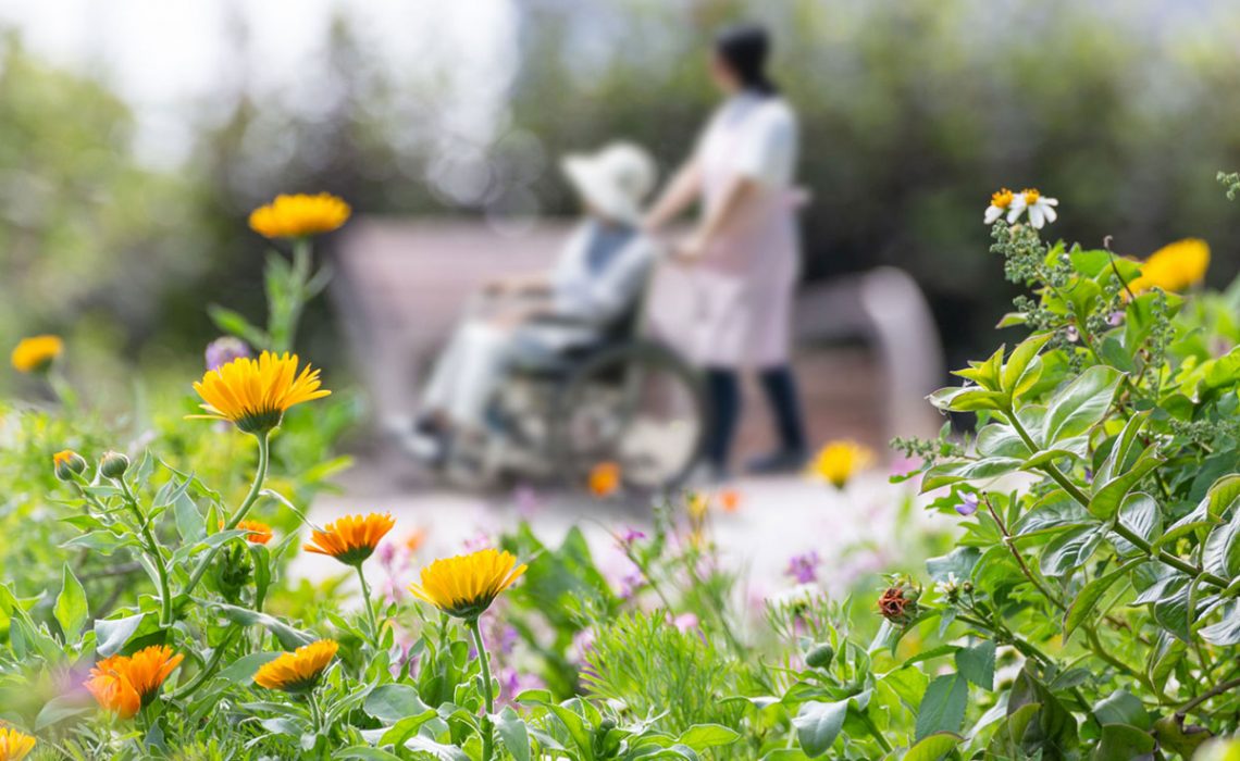The Benefits of Filling Your Assisted Living Facility with Plants